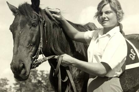 Horse police