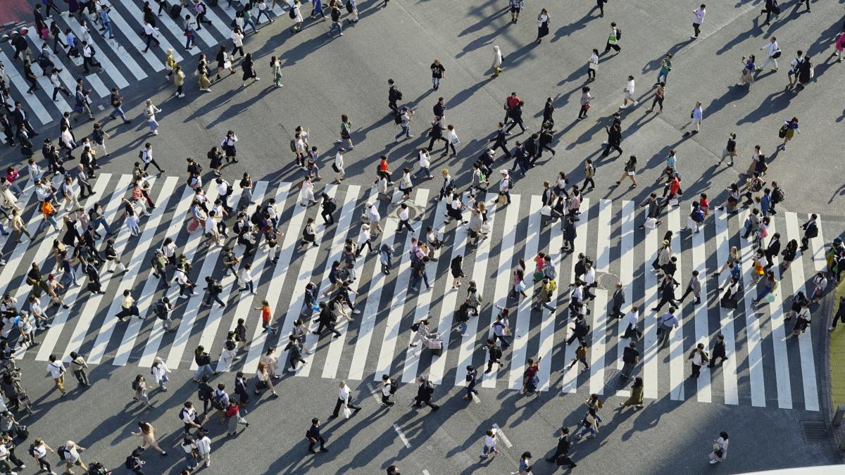 aerial view of crowd